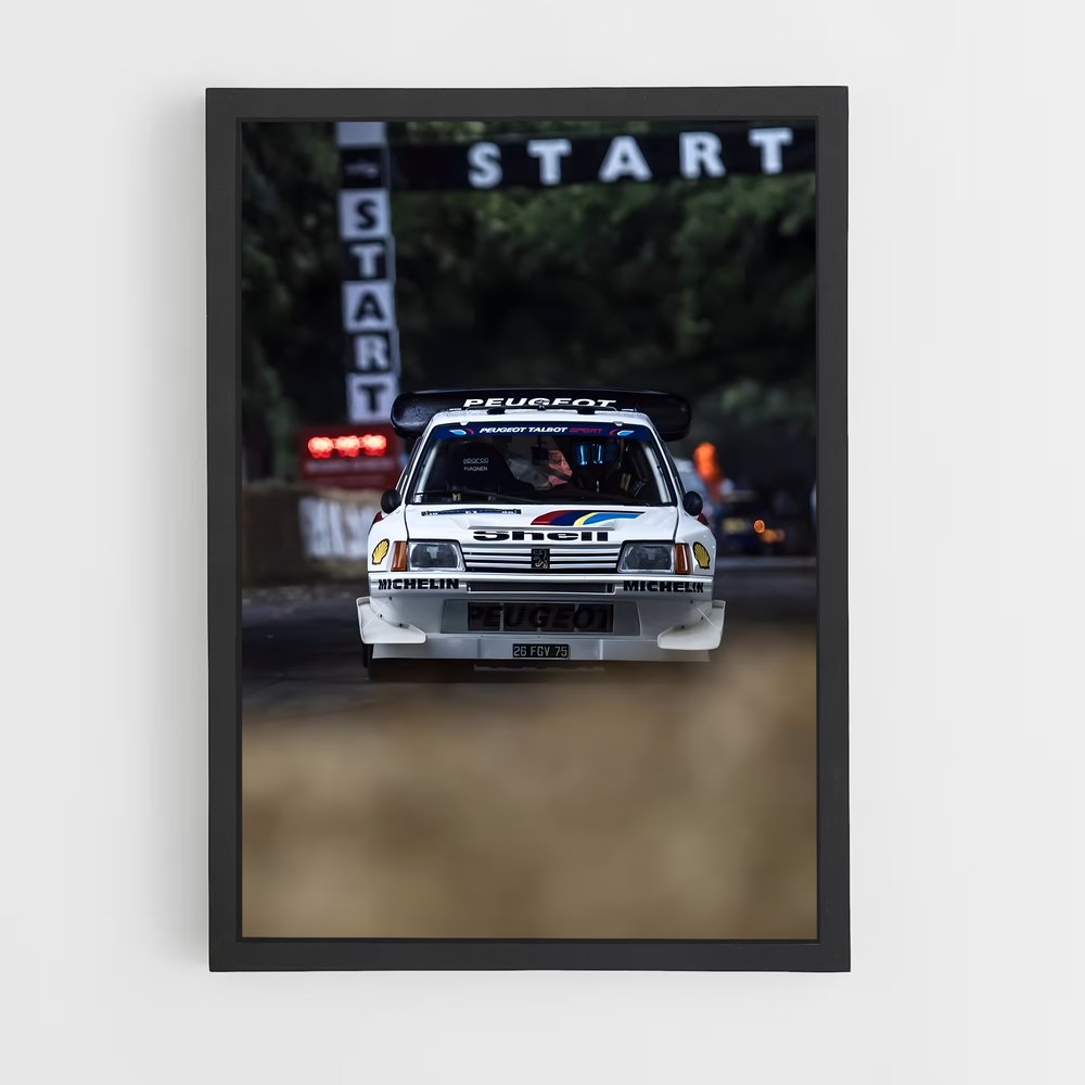 ap-205 rallye-2 cadre Noir