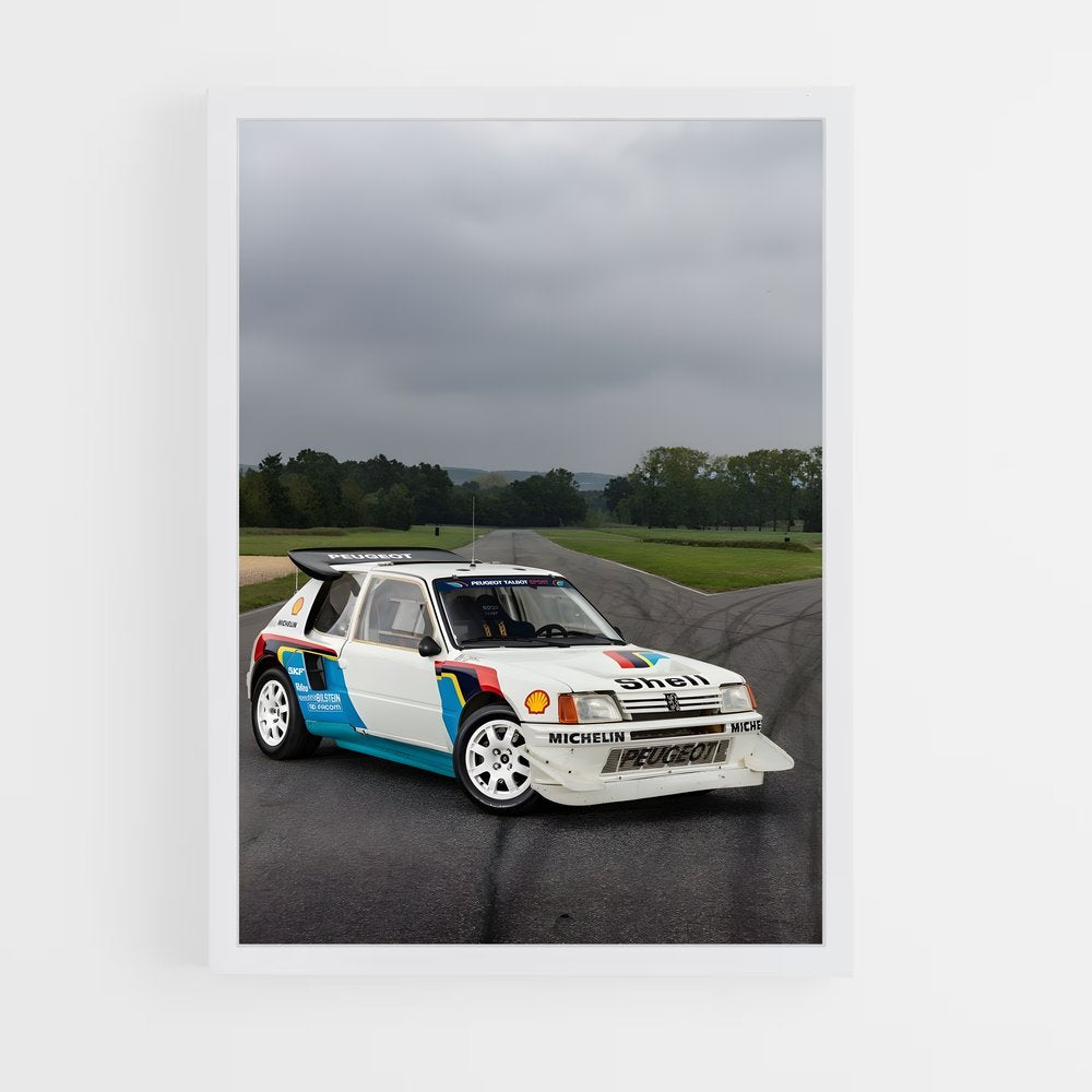 ap-205 rallye-4 cadre Blanc