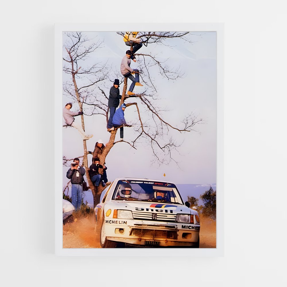 ap-205 rallye-5 cadre Blanc