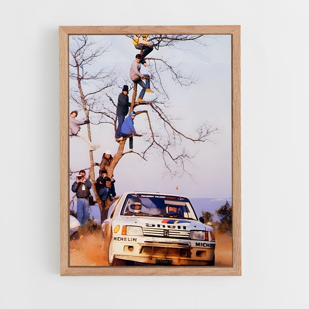 ap-205 rallye-5 cadre Bois clair