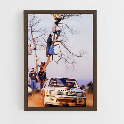 ap-205 rallye-5 cadre Bois foncé