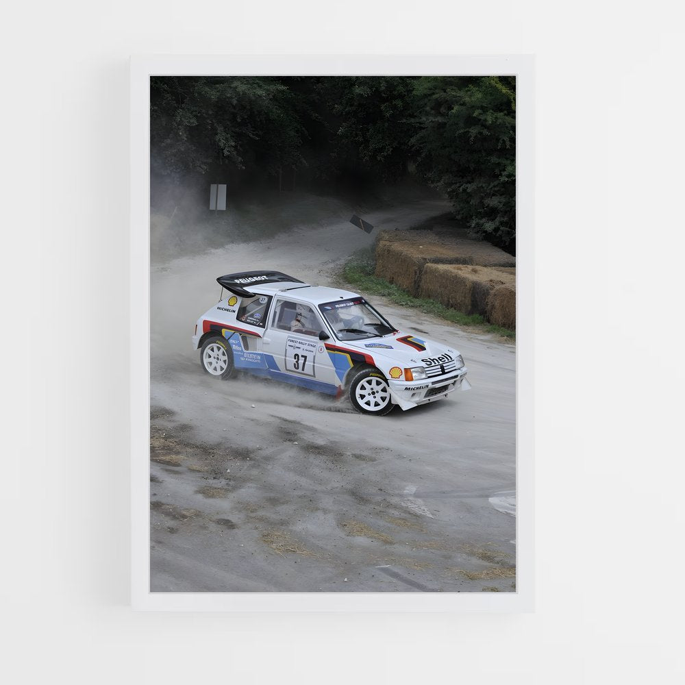 ap-205 rallye-7 cadre Blanc