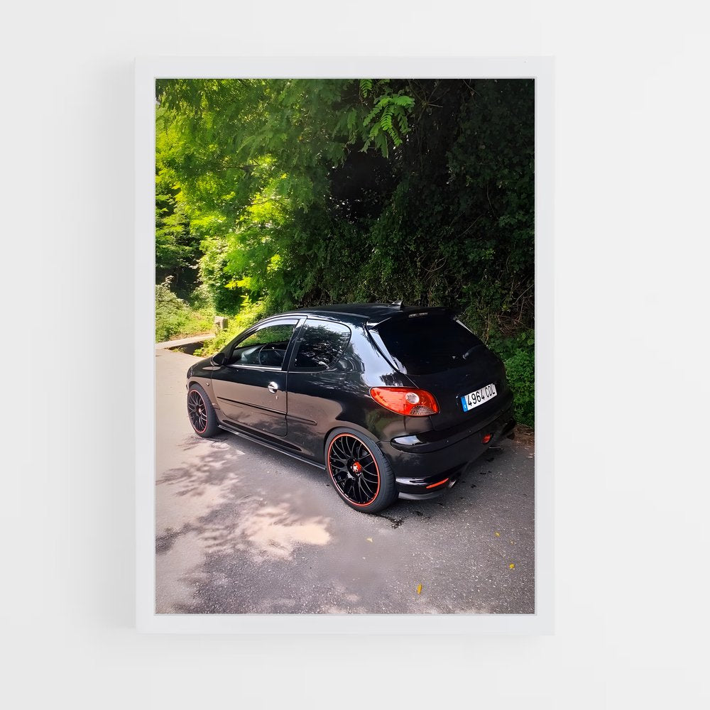 ap-206 gti-1 cadre Blanc