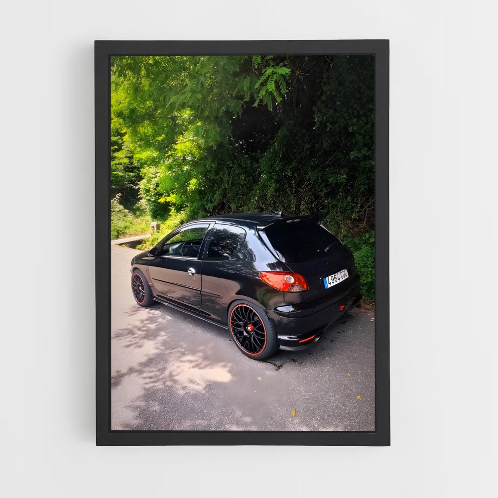 ap-206 gti-1 cadre Noir