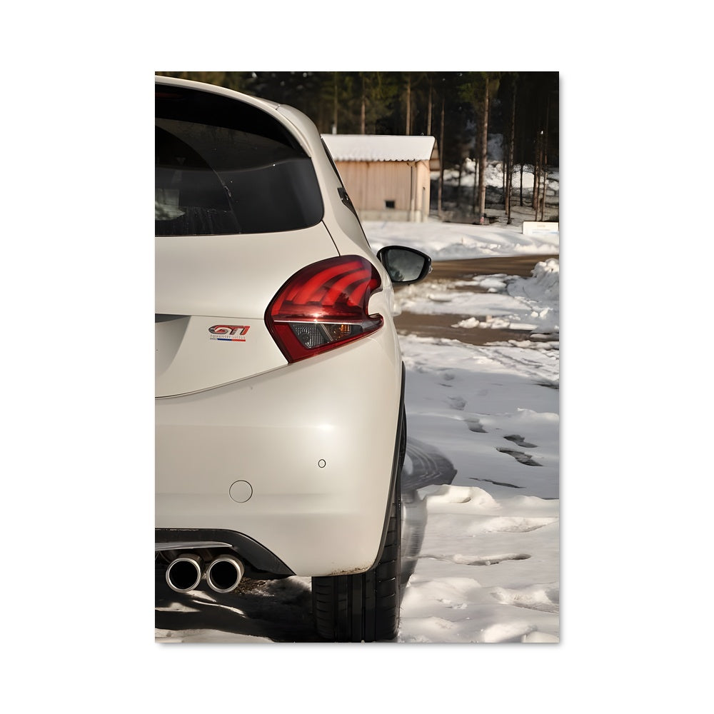 Poster Neige et Performances