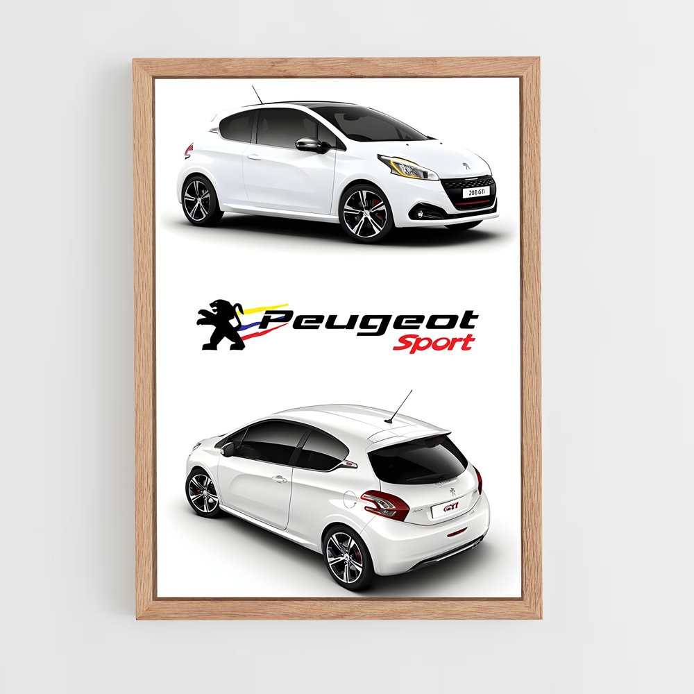 ap-208 gti-5 cadre Bois clair
