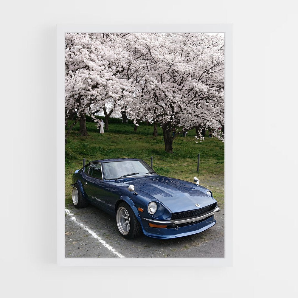ap-240z-2 cadre Blanc