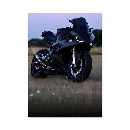 Poster 300 rr 81877