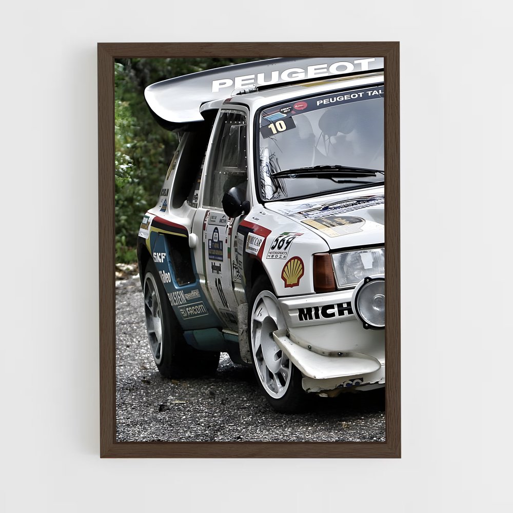 ap-306 rallye-2 cadre Bois foncé