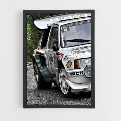 ap-306 rallye-2 cadre Noir