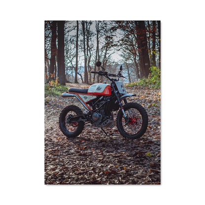 Poster Ride in the Woods