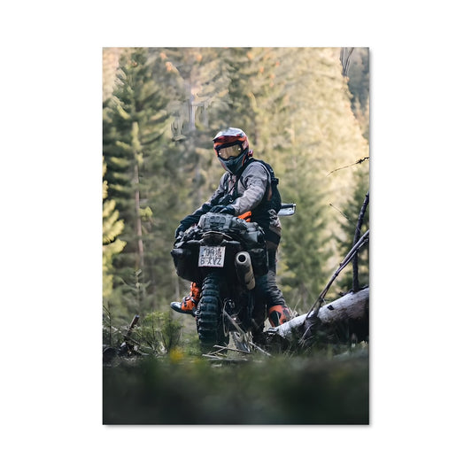 Poster Rider de la Forêt
