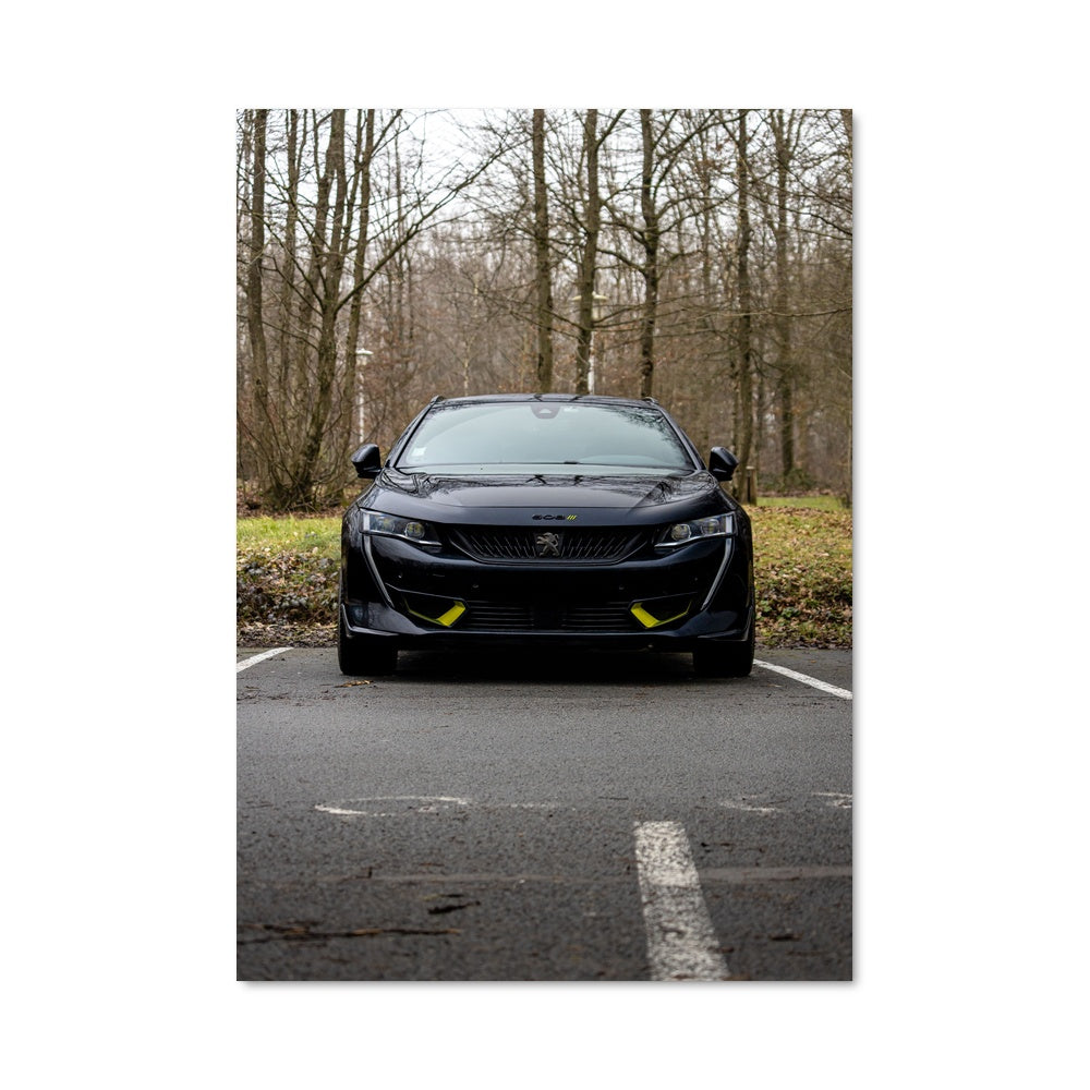 Poster 508 pse 79141