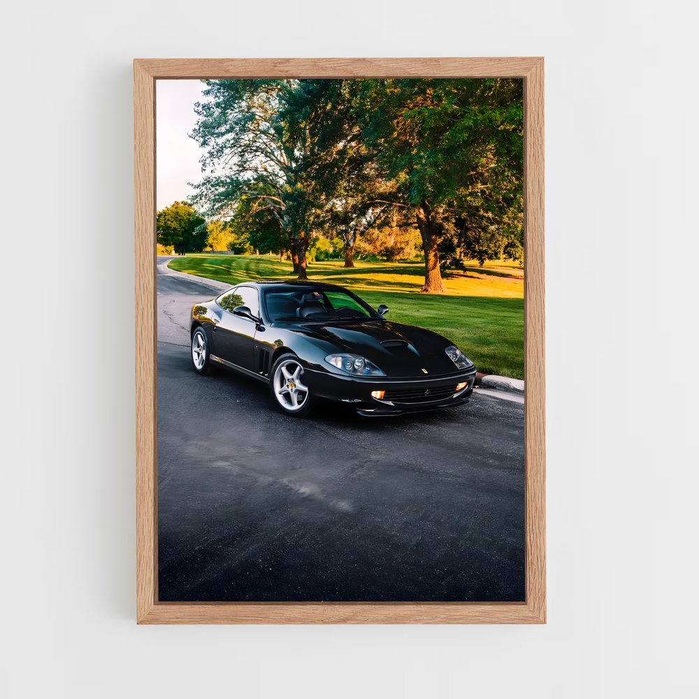ap-550 maranello-2 cadre Bois clair
