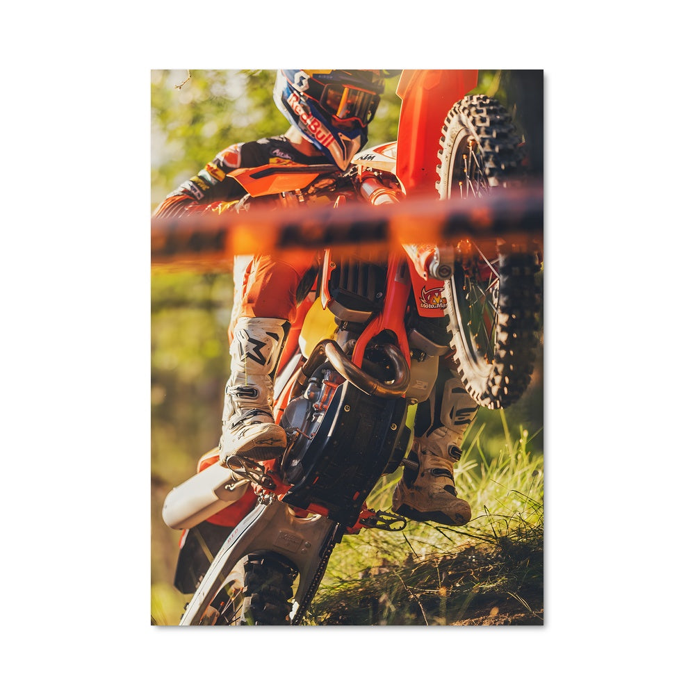 Poster Aventures en Forêt