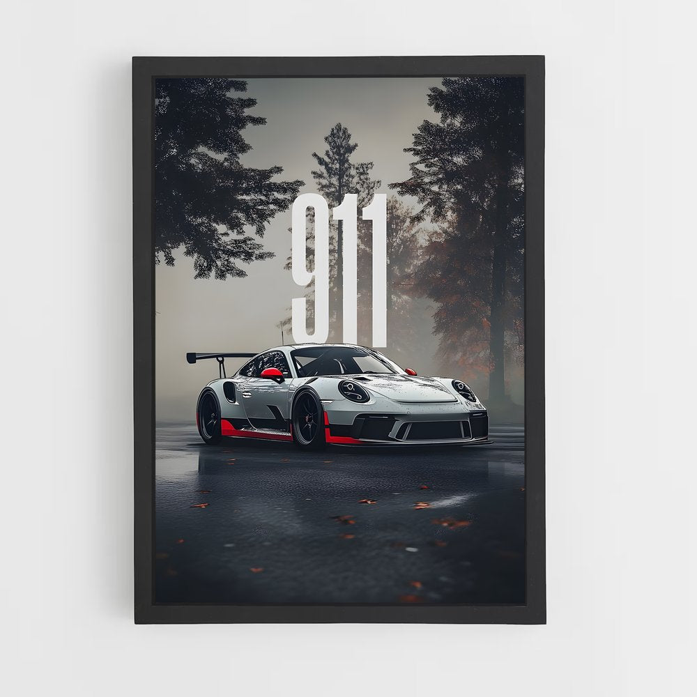 ap-911 gt3-4 cadre Noir