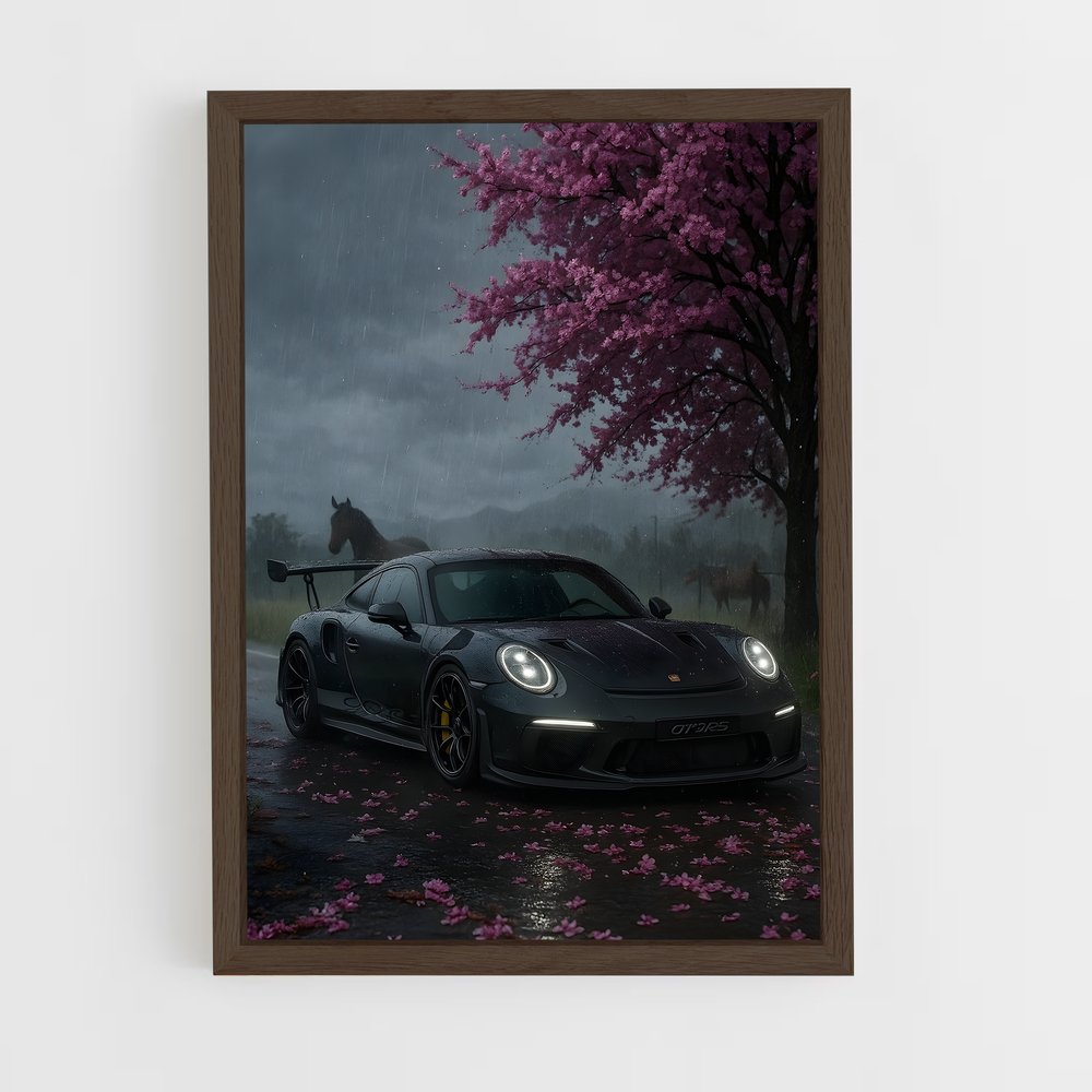 ap-911 gt3 rs-3 cadre Bois foncé