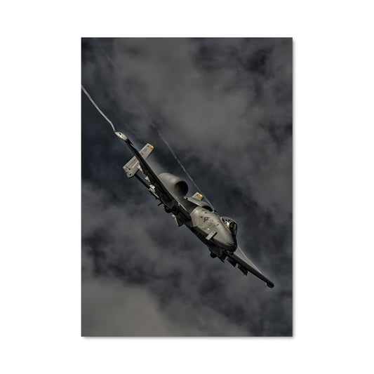 Poster Vol de Fureur