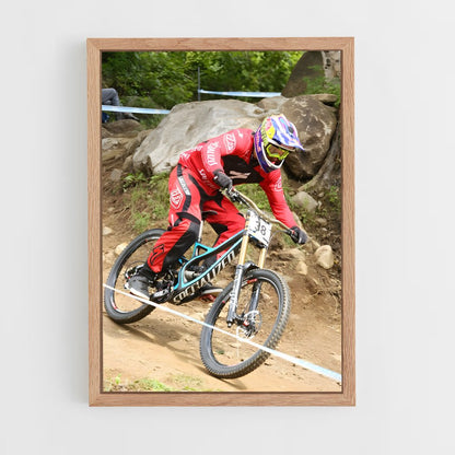 ap-aaron gwin-1 cadre Bois clair