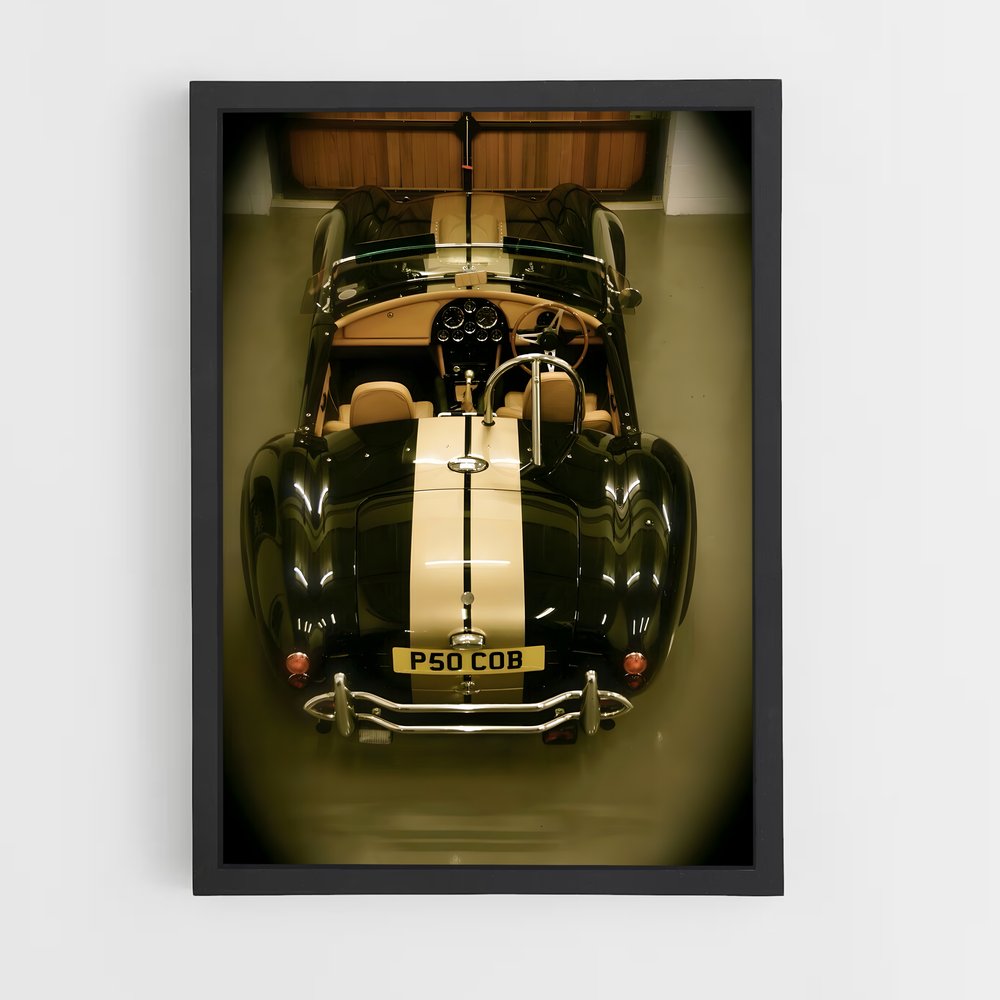 ap-ac cobra-5 cadre Noir