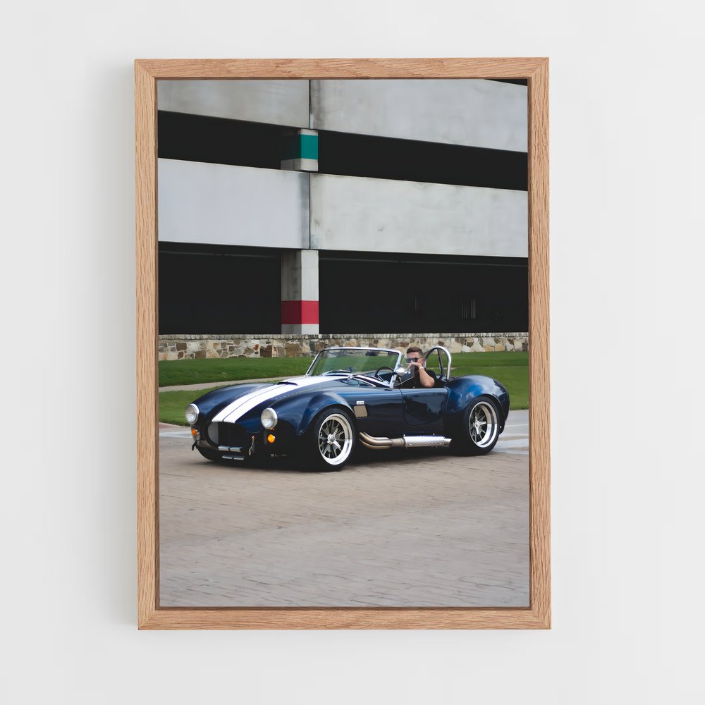ap-ac cobra-6 cadre Bois clair