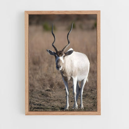 ap-addax-1 cadre Bois clair