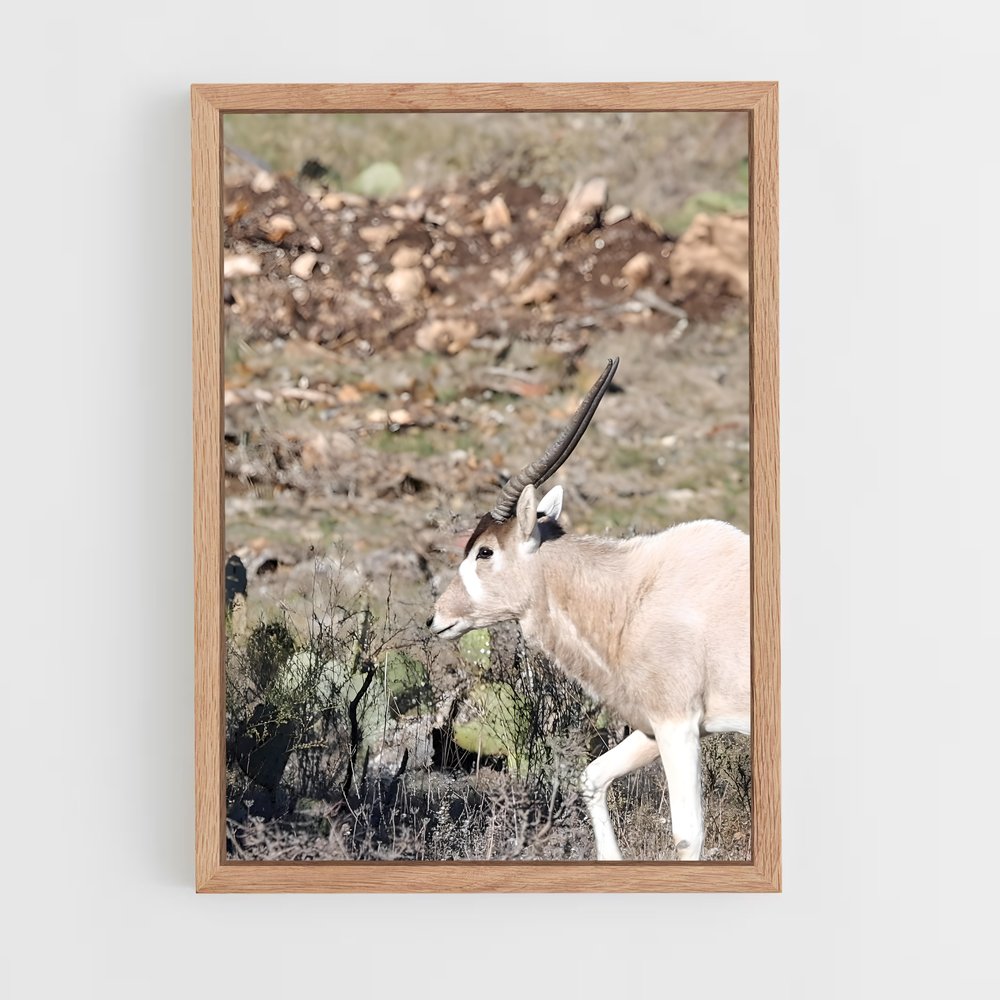 ap-addax-7 cadre Bois clair