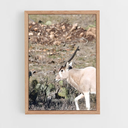ap-addax-7 cadre Bois clair