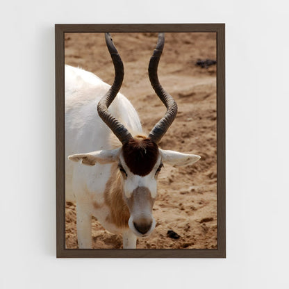 ap-addax-8 cadre Bois foncé