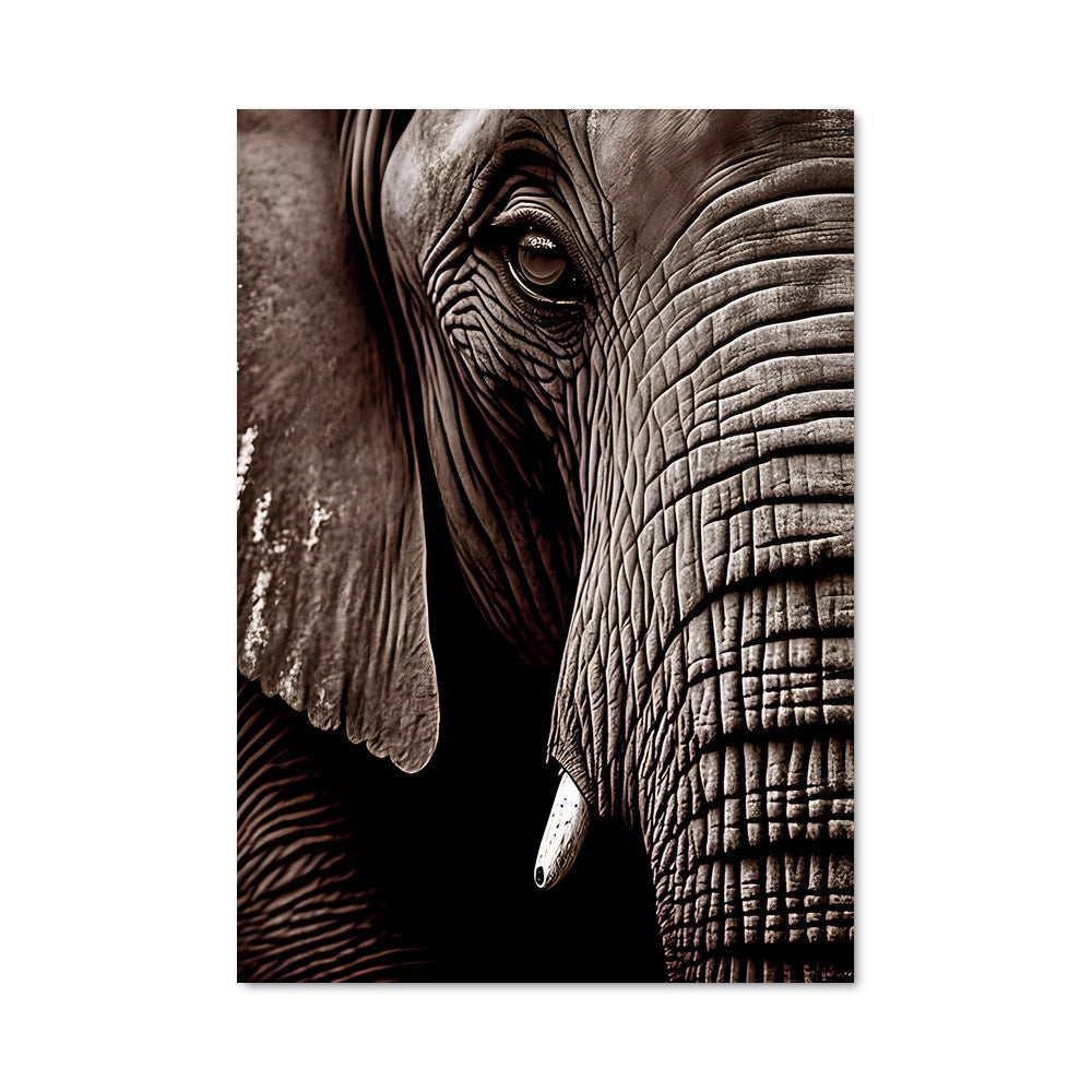 Poster Élégance Ébène