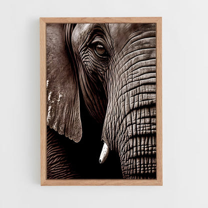 ap-african elephant-5 cadre Bois clair