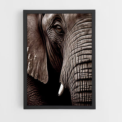 ap-african elephant-5 cadre Noir