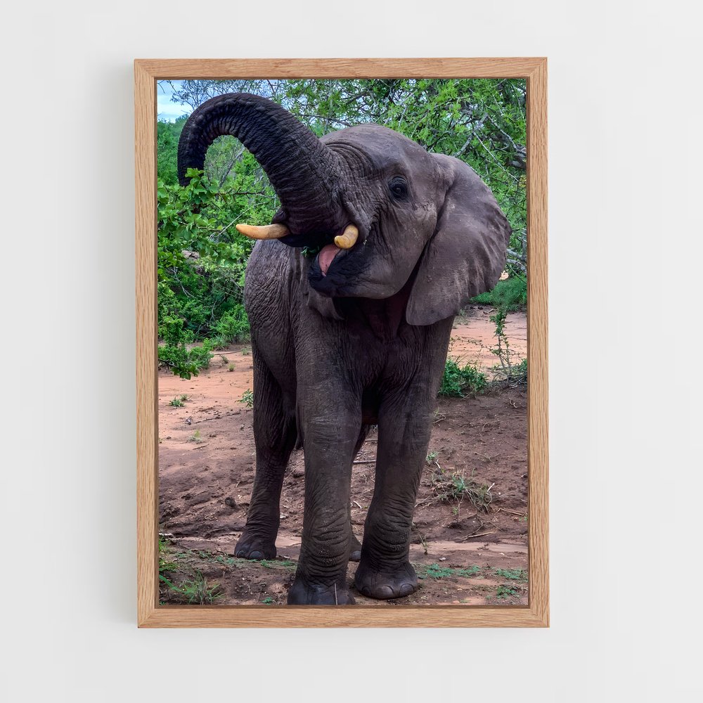 ap-african elephant-7 cadre Bois clair