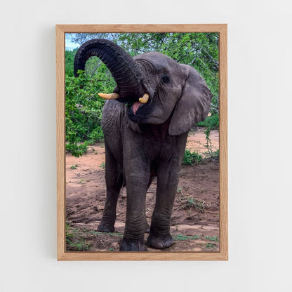 ap-african elephant-7 cadre Bois clair