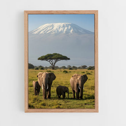 ap-african savanna-1 cadre Bois clair