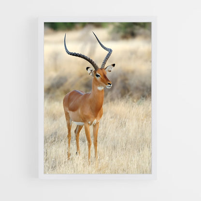 ap-african savanna-3 cadre Blanc