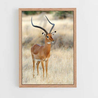 ap-african savanna-3 cadre Bois clair