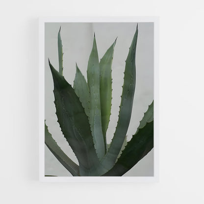 ap-agave-3 cadre Blanc