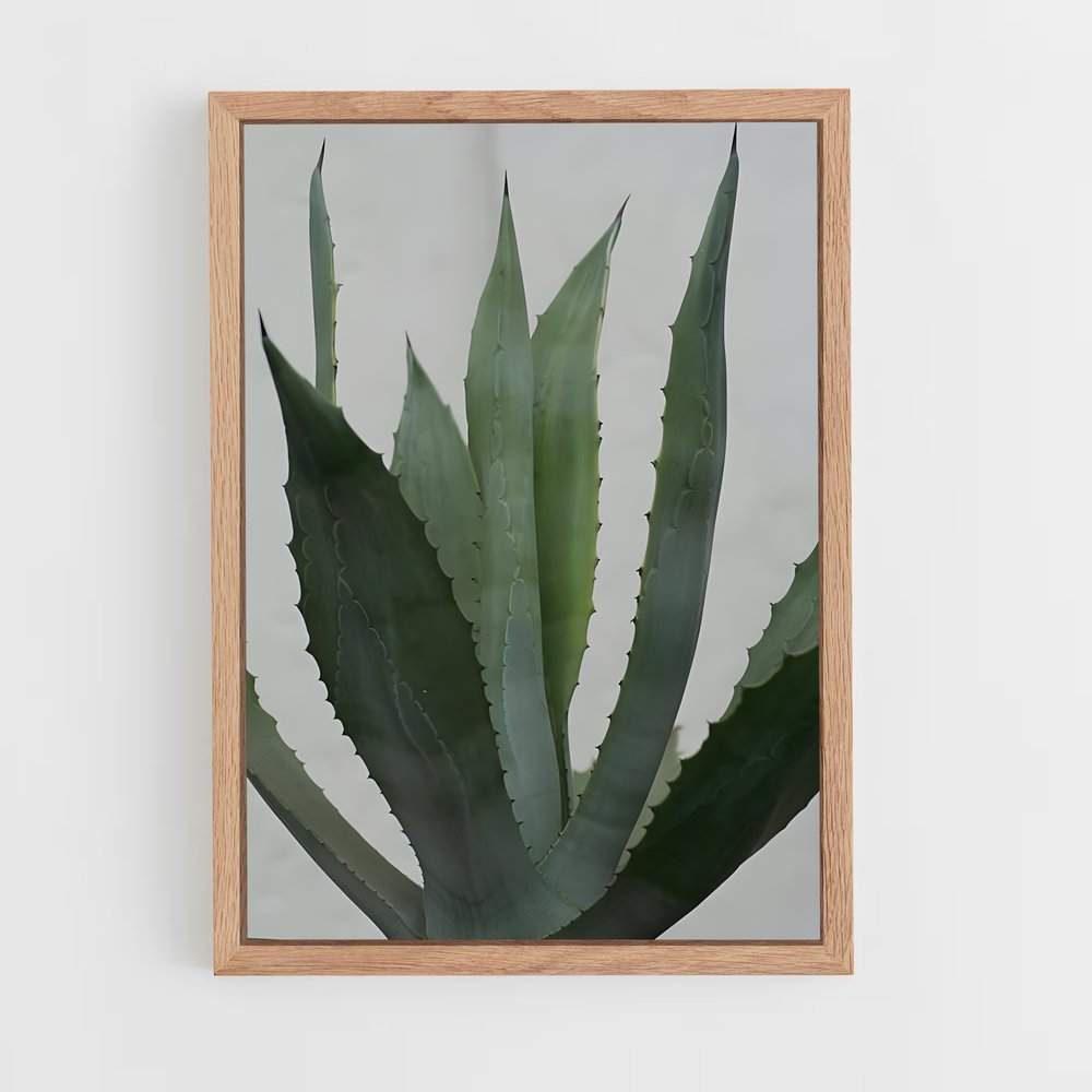 ap-agave-3 cadre Bois clair