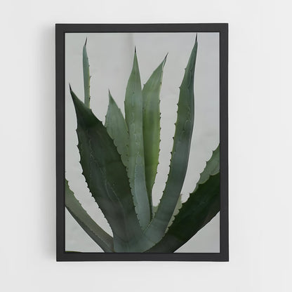 ap-agave-3 cadre Noir