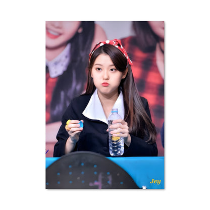 Poster Ahin 48786