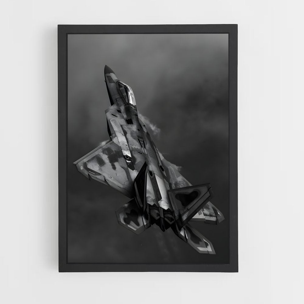 ap-air force pilot-9 cadre Noir