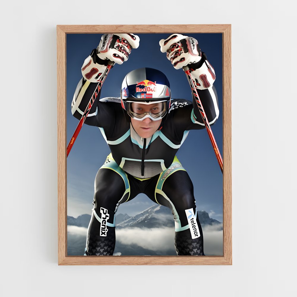 ap-aksel lund svindal-2 cadre Bois clair