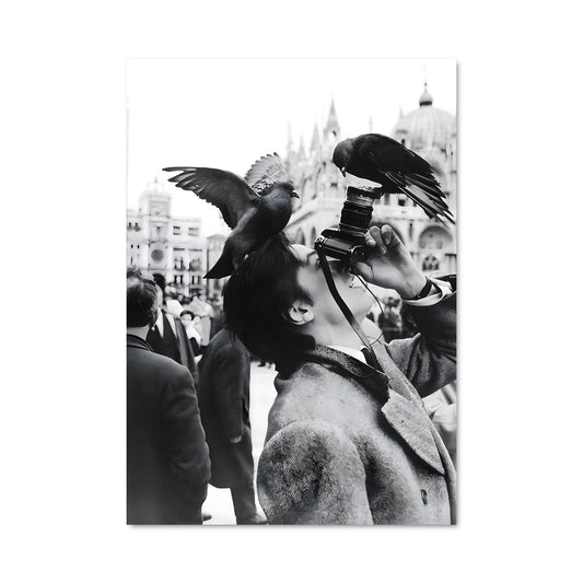 Poster Oiseau de Nuit
