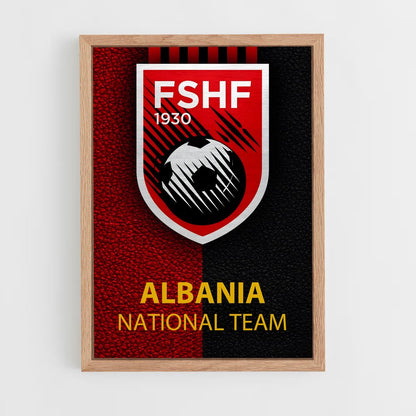 ap-albania national football team-5 cadre Bois clair