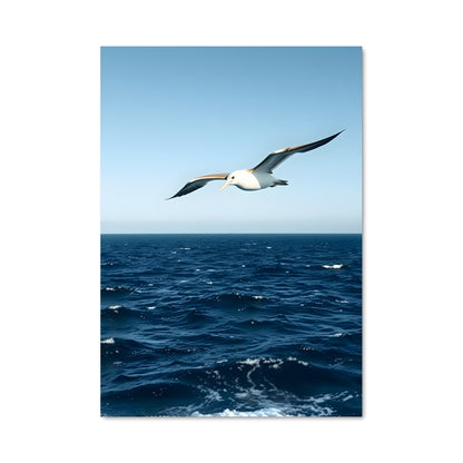 Poster Vol des Albatros