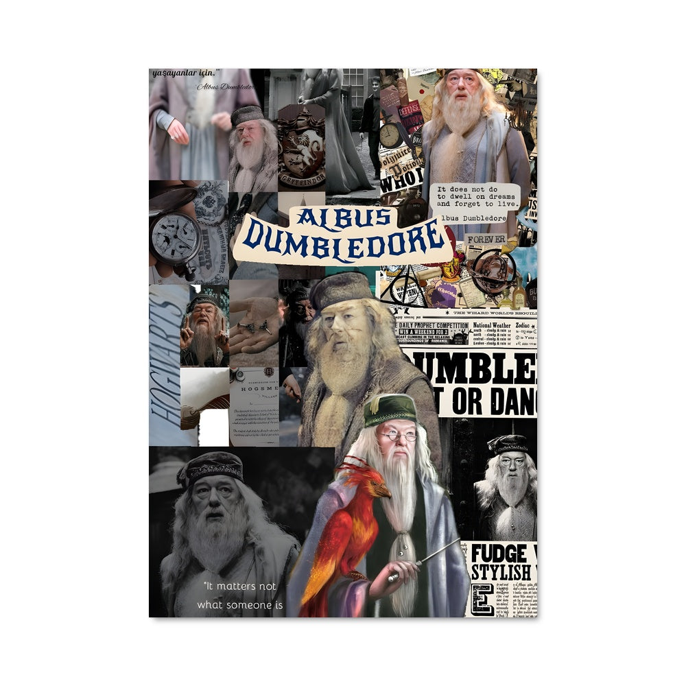 Poster La Sagesse d'Albus