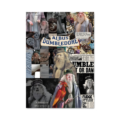 Poster La Sagesse d'Albus