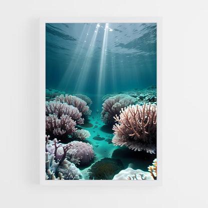 ap-aldabra atoll-1 cadre Blanc