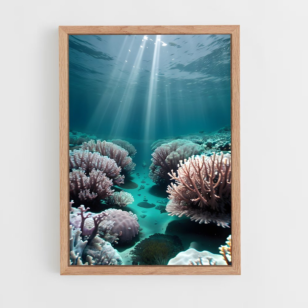 ap-aldabra atoll-1 cadre Bois clair